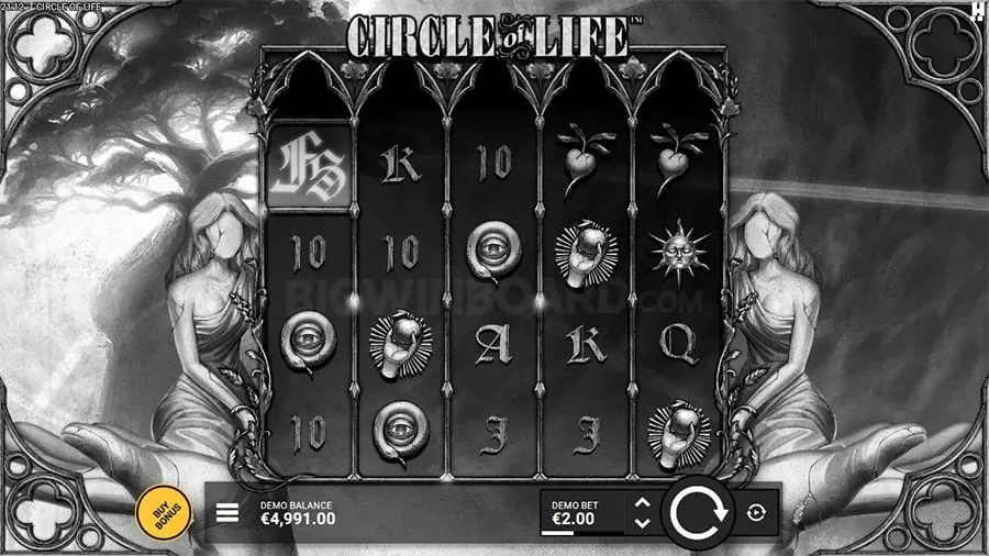 Enhance Your Live Casino Experience